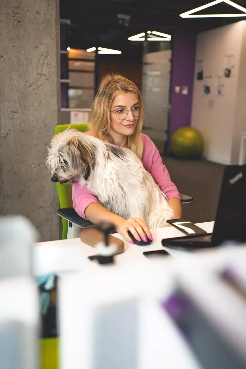 Pets in offices 4