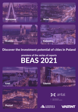 The Investment Potential of Polish Cities